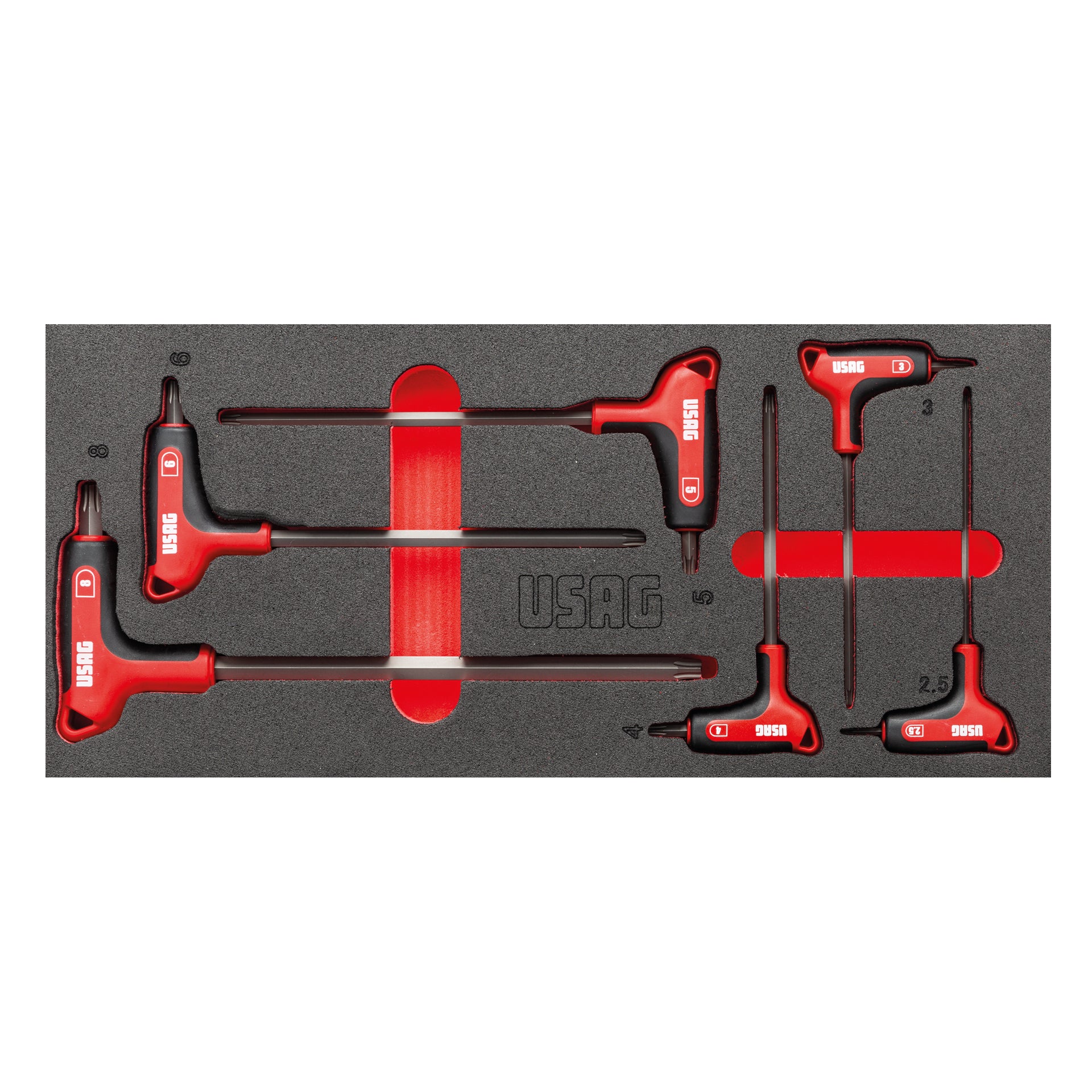 MODULO IN SPUGNA BICOLORE ASSORTITO (6 PZ) Usag 519 M 280HX
