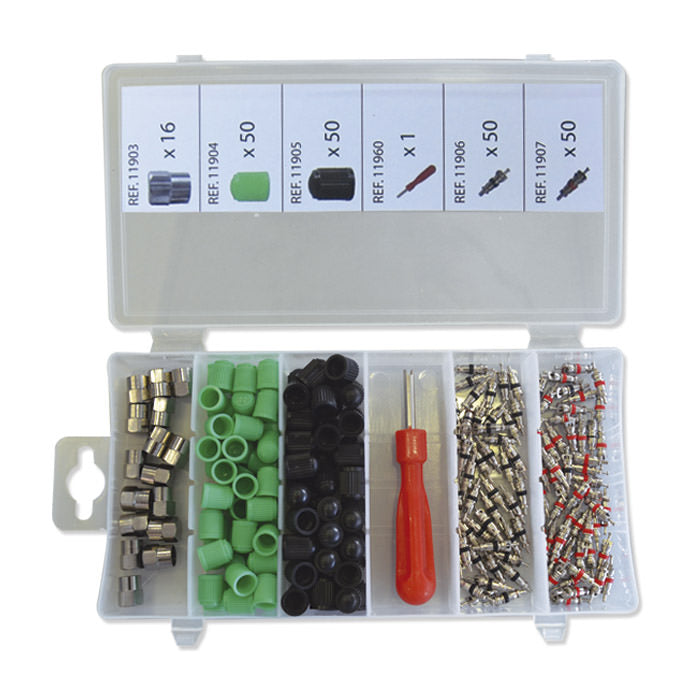SET DI TAPPI E NUCLEI PER VALVOLE PNEUMATICHE 52673 JBM