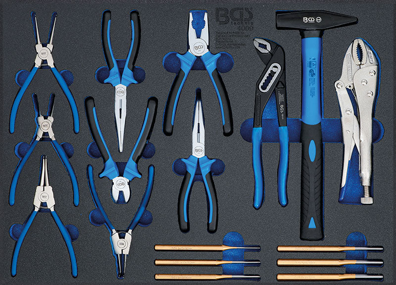 MODULO PER CARRELLO: SET 17 PEZZI, PINZE, MARTELLO, CACCIASPINE BGS4009