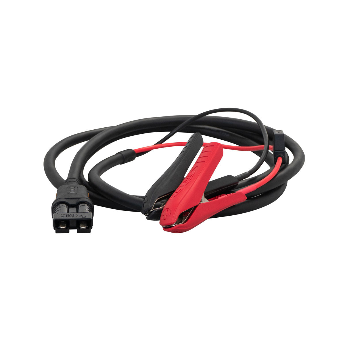 Caricabatterie CTEK PRO25 CIC