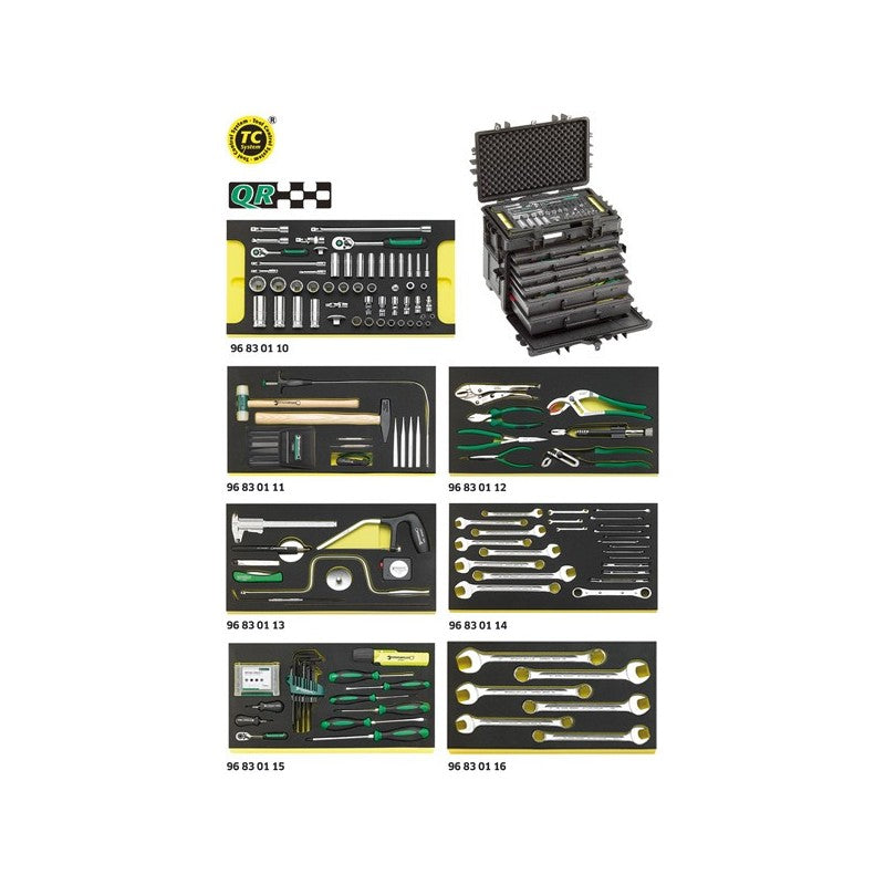 Kit AOG per velivoli in trolley portautensili 13217 - 13224a WT/TS STAHLWILLE