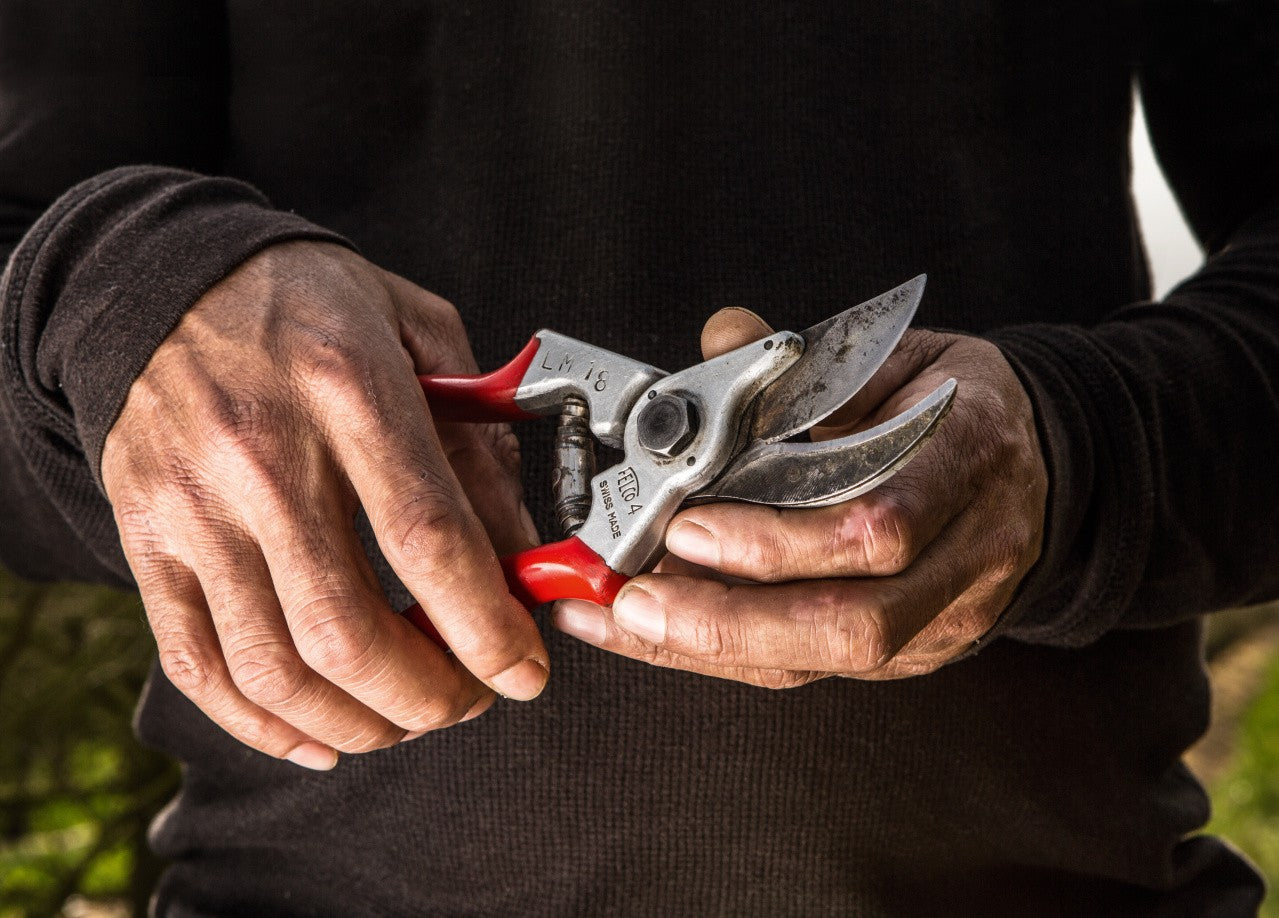 Forbice cesoia svettatoio Felco 4