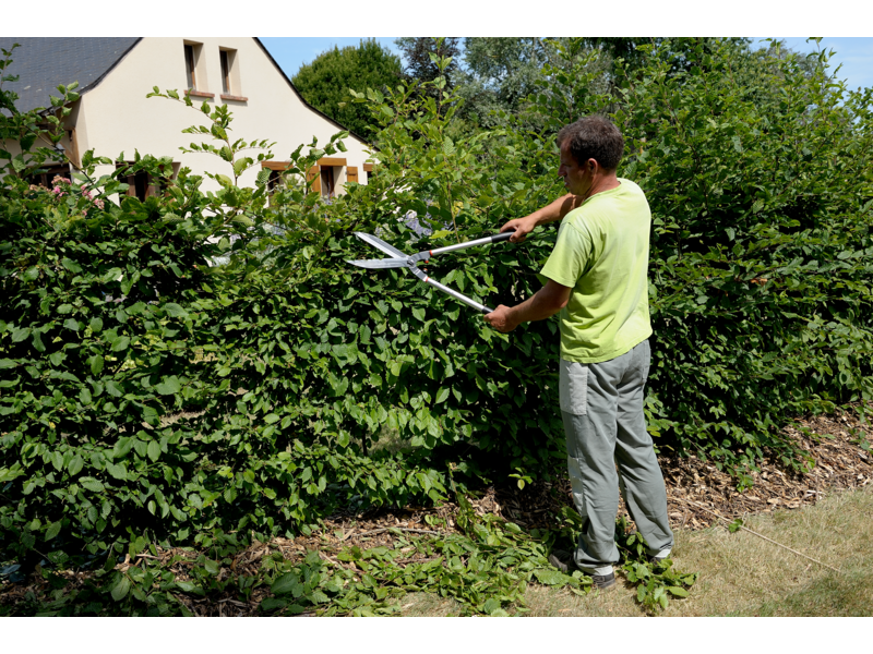 Tagliasiepi, manici lunghi Bahco P51H-SL