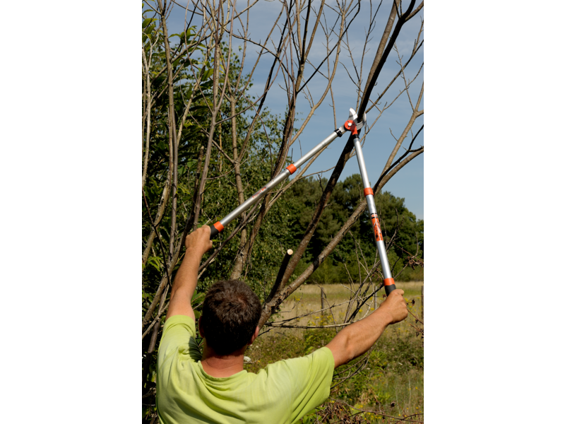 Troncarami telescopico Bahco PG-19-F