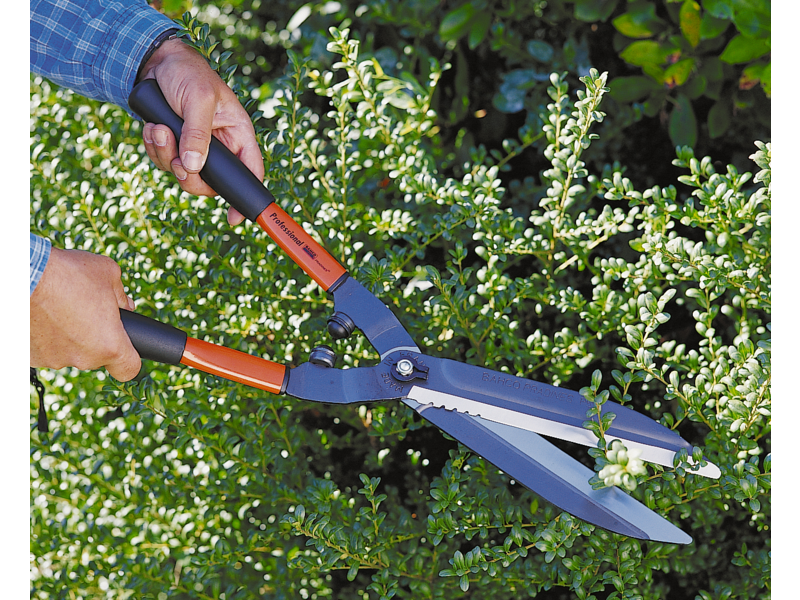 Tagliasiepi Bahco P51-F