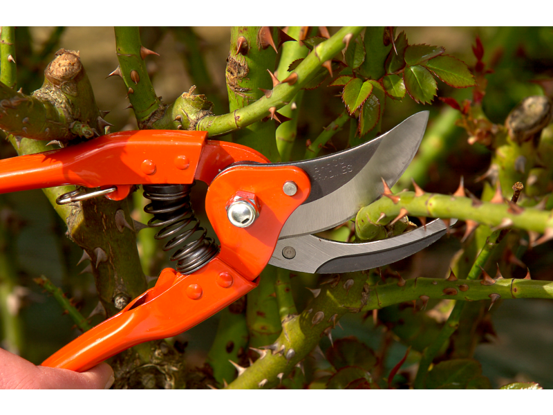 Cesoia tradizionale Bahco P110-23-F