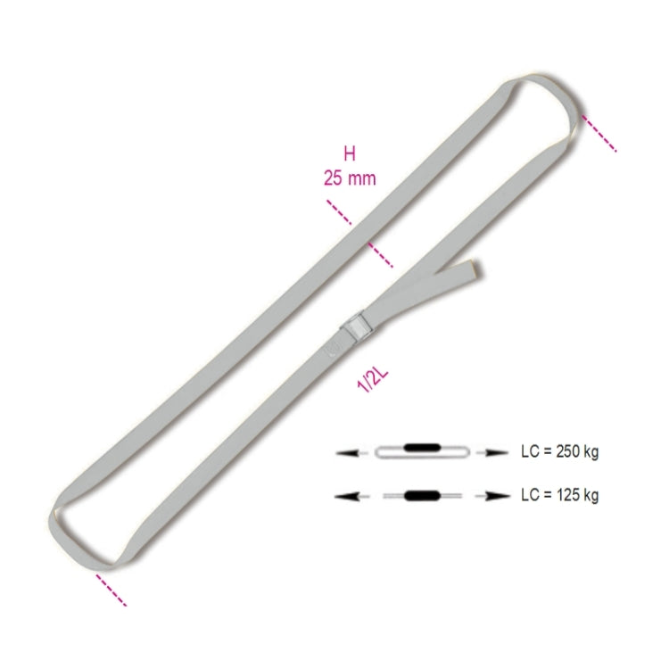2 sistemi di legatura ad anello con fibbia AISI 304 nastro in poliestere ad alta tenacità LC 250kg Beta Robur 8297F