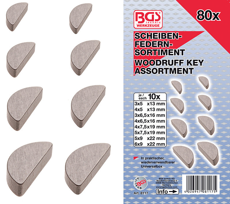 ASSORTIMENTO 80 PEZZI, CHIAVETTE A DISCO BGS8117