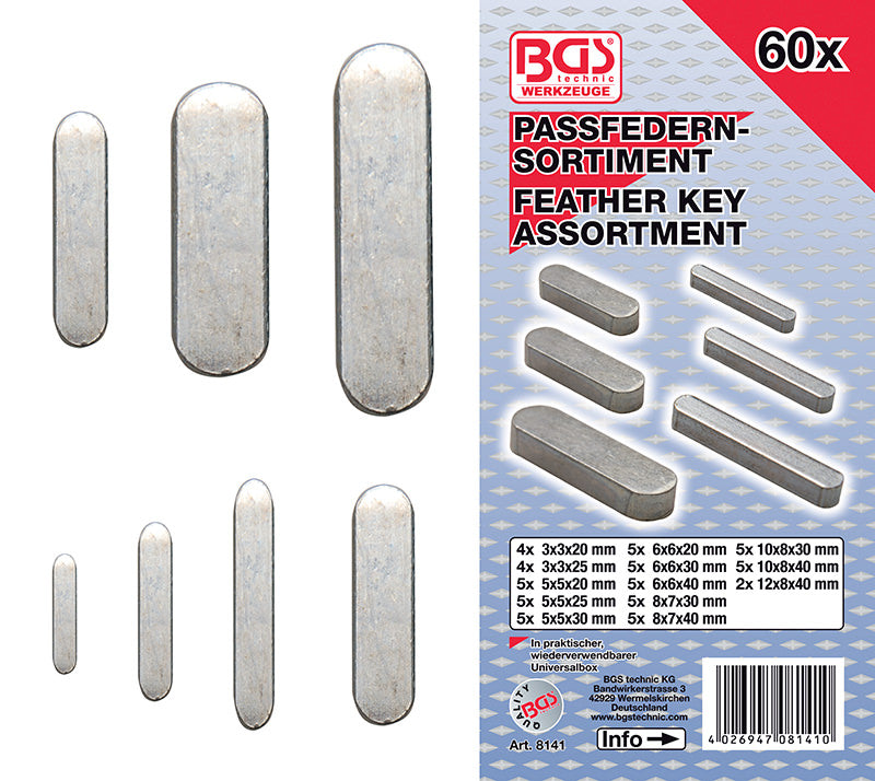 ASSORTIMENTO 60 PEZZI, CHIAVETTE PARALLELE BGS8141