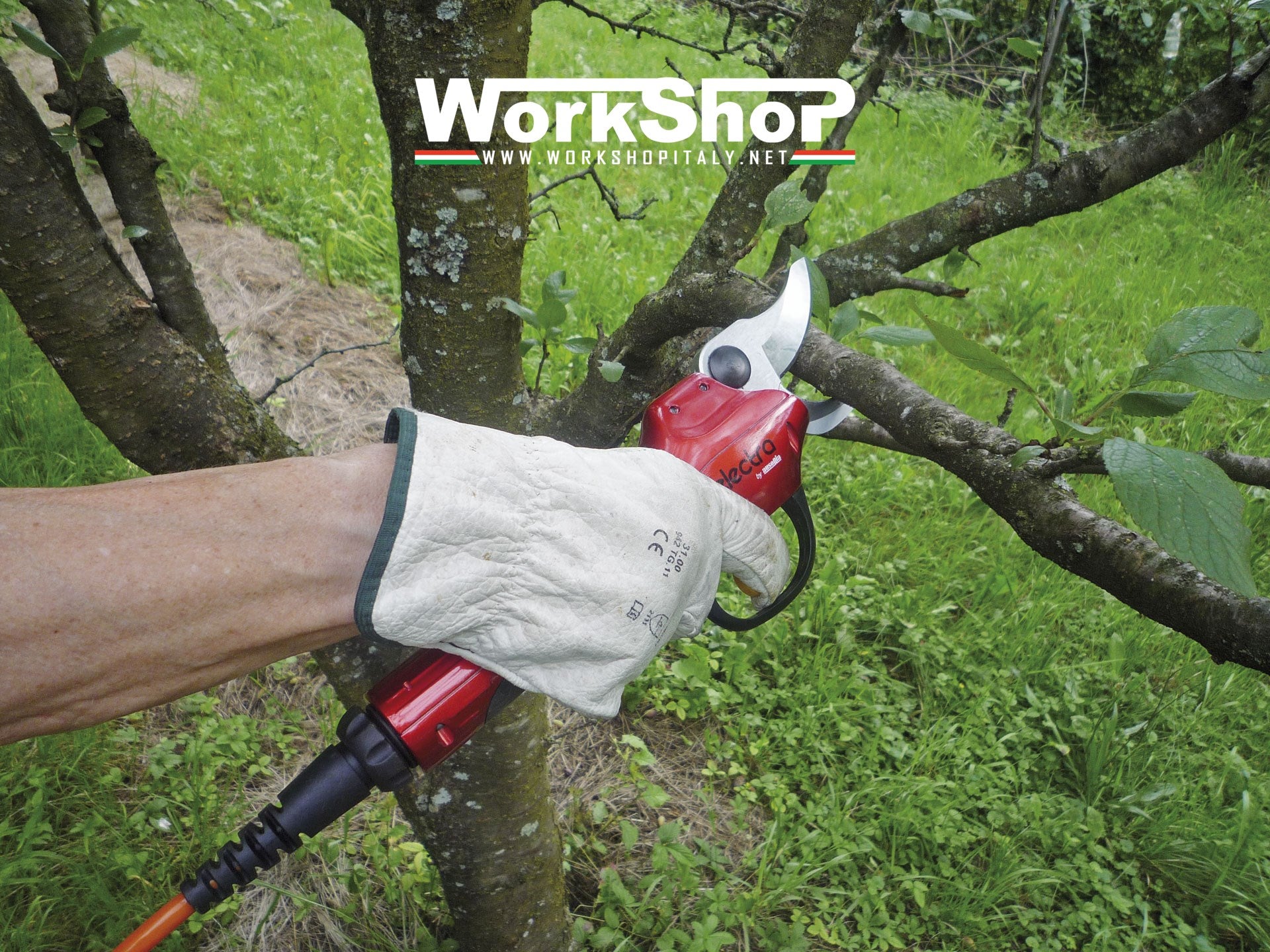 Forbice elettrica Electra Ausonia per potatura