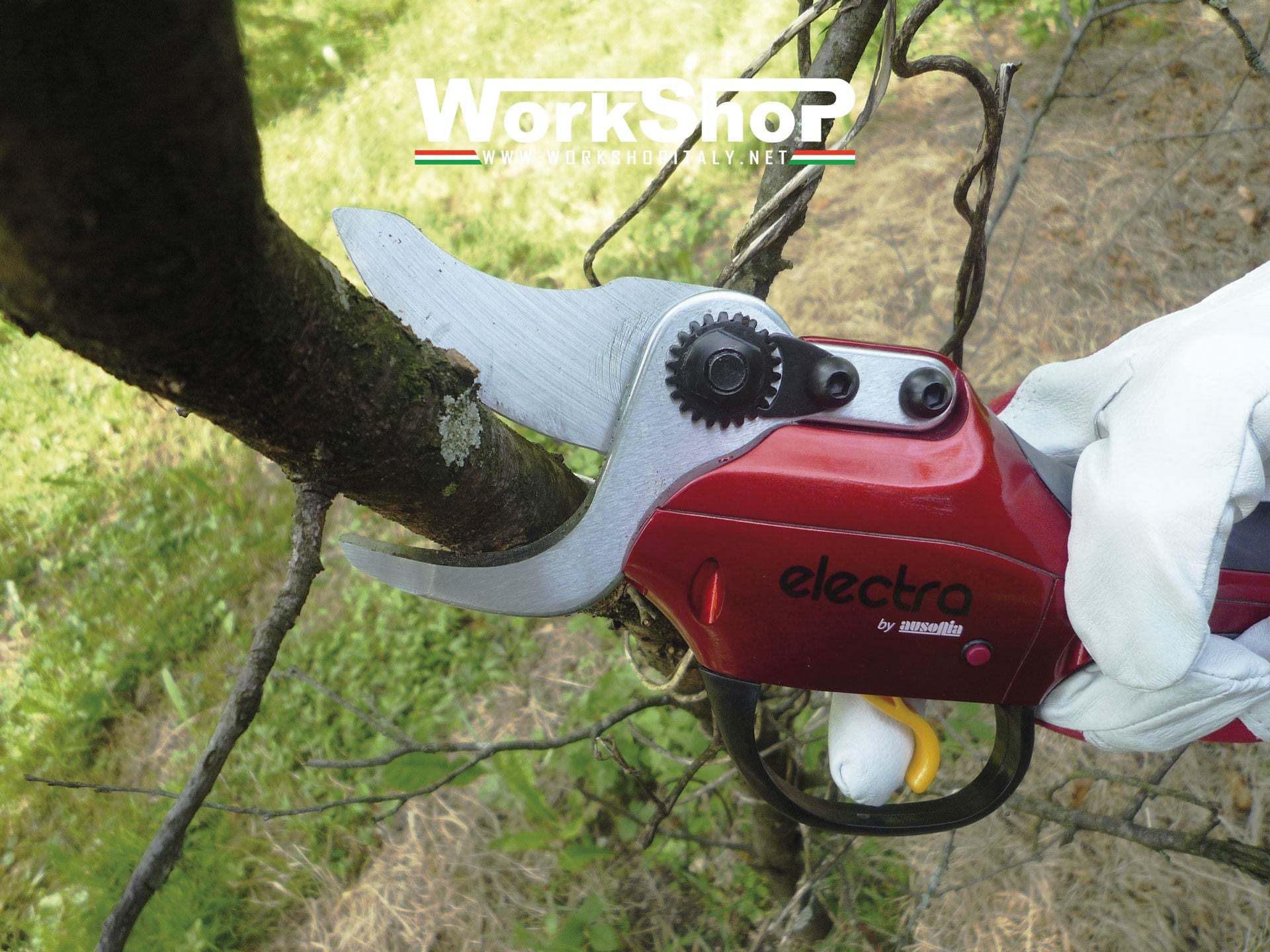 Forbice elettrica Electra Ausonia per potatura