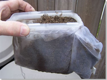 Mosquito Magnet Executive trappola antizanzare MODELLO 2025