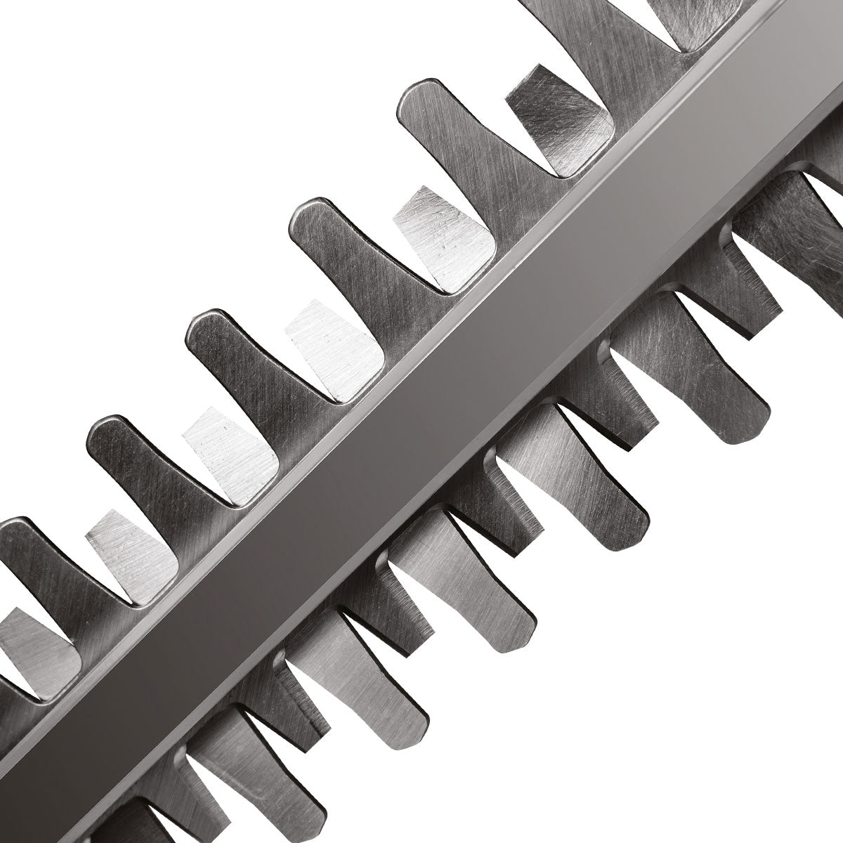 Tagliasiepi a batteria Efco TGi 45 con batteria Bi 2,5 EF e caricabatterie CRG