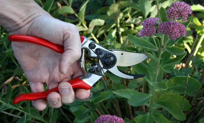 Forbice cesoia svettatoio Felco 9