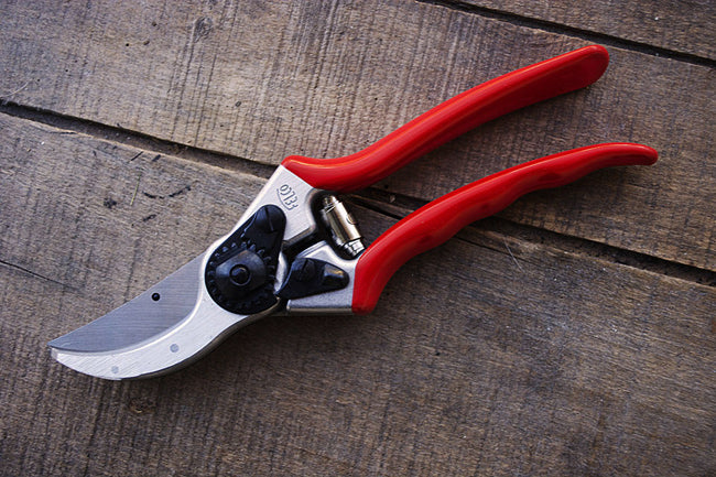 Forbice cesoia svettatoio Felco 2