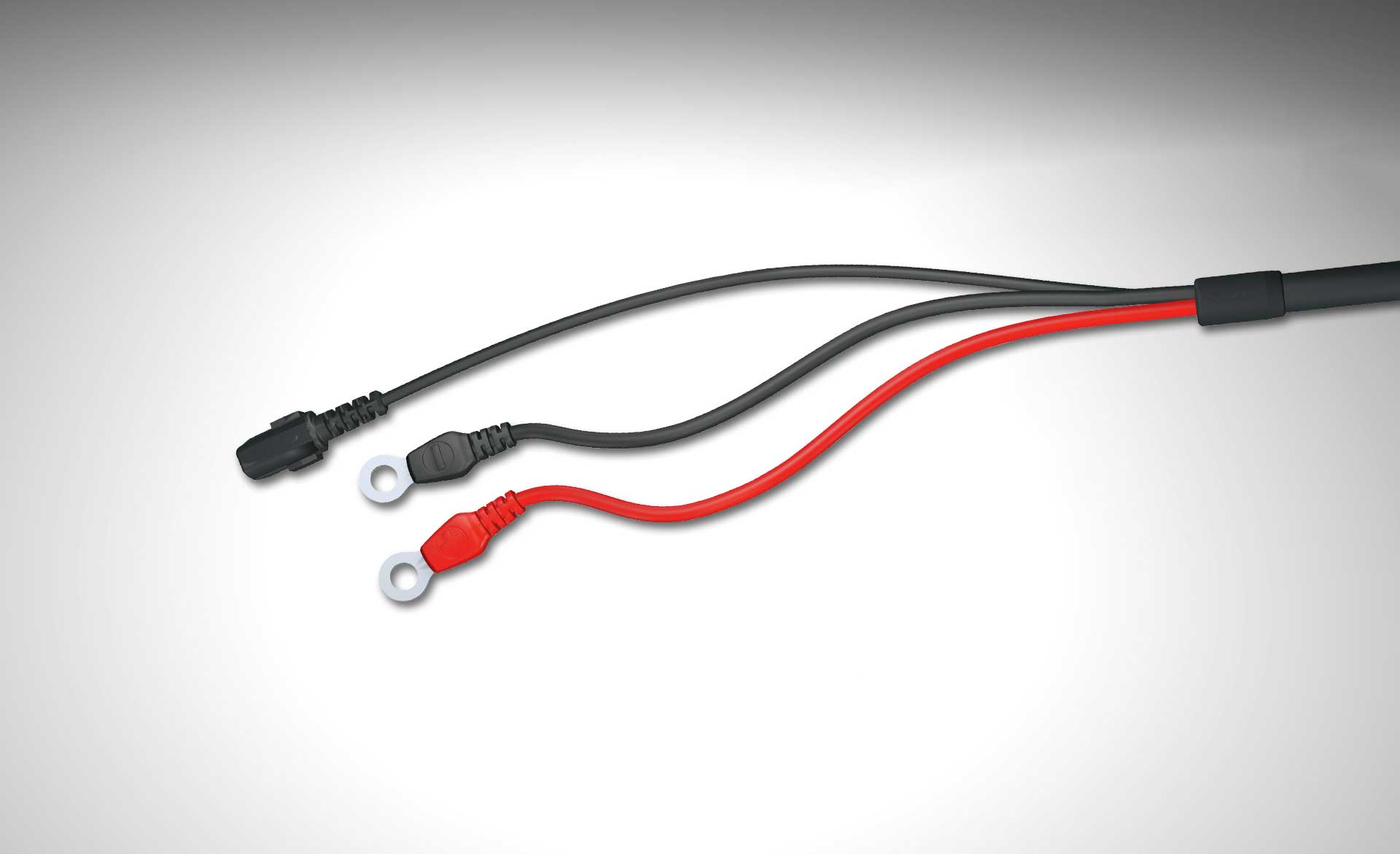 Caricabatterie M15 CTEK MARINE 15A