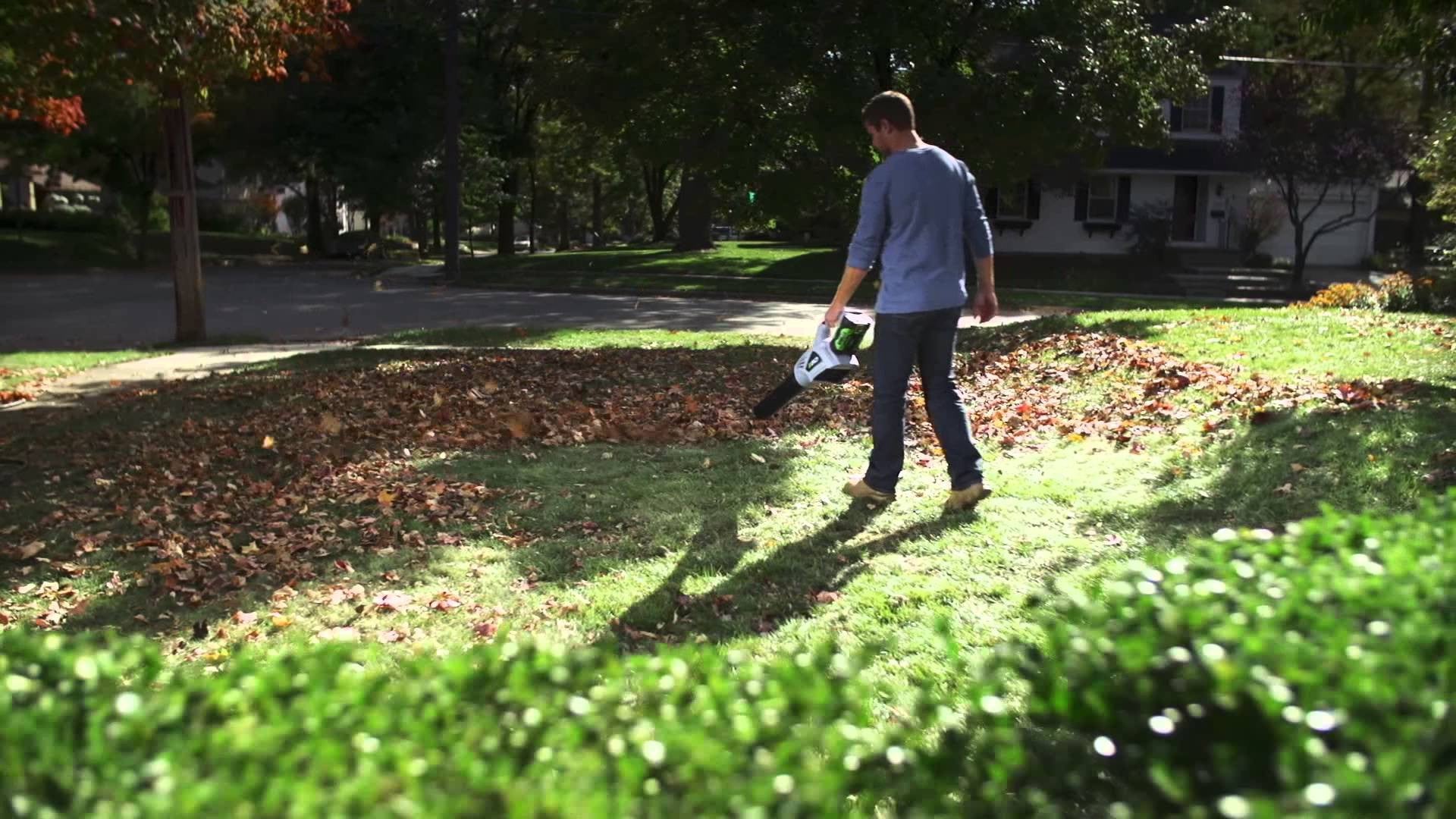 Soffiatore a batteria Ego 56 volts LB 5300 E SET 5AH