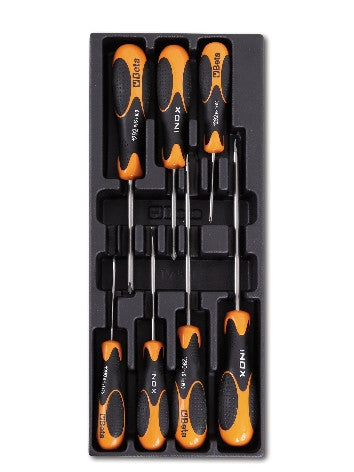 Termoformato Set Giraviti Inox Beta T228