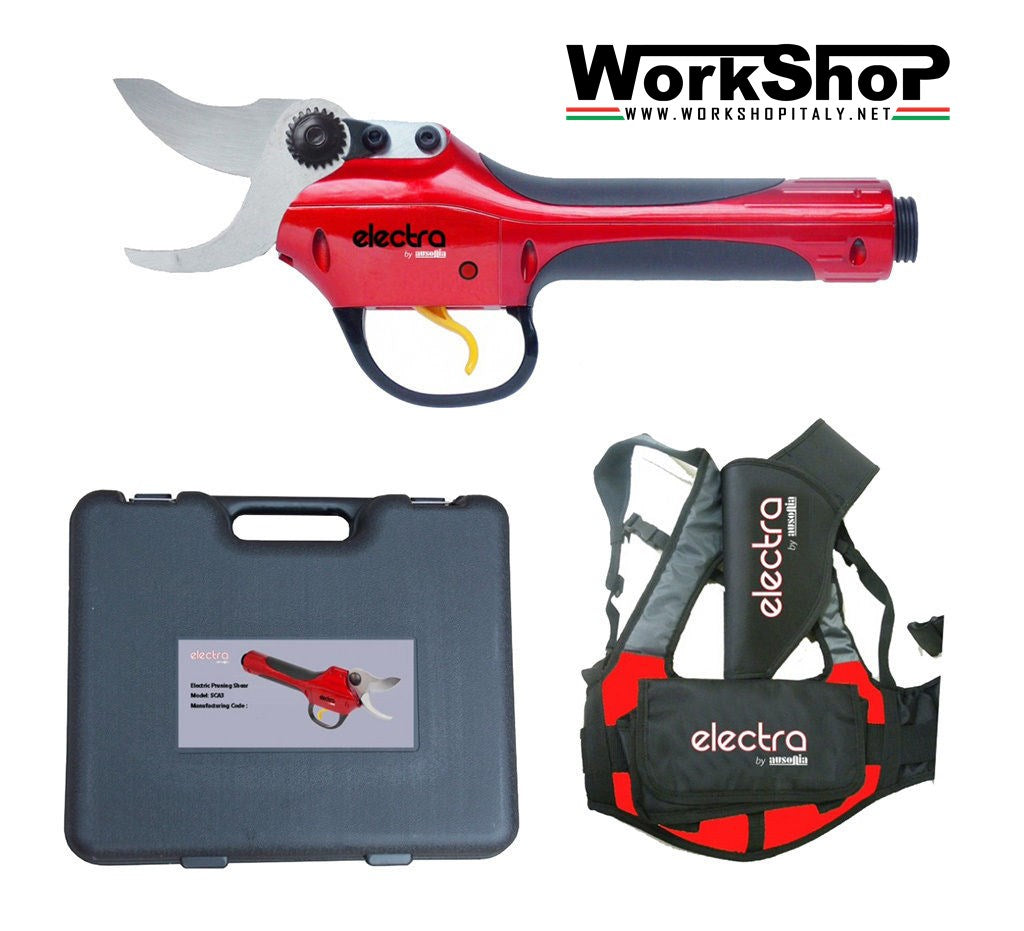 Forbice elettrica Electra Ausonia per potatura