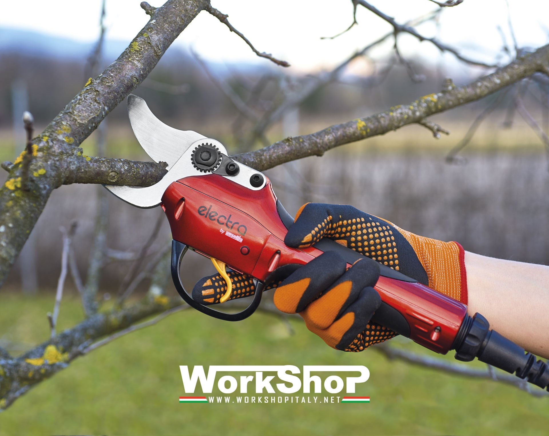 Forbice elettrica Electra Ausonia per potatura