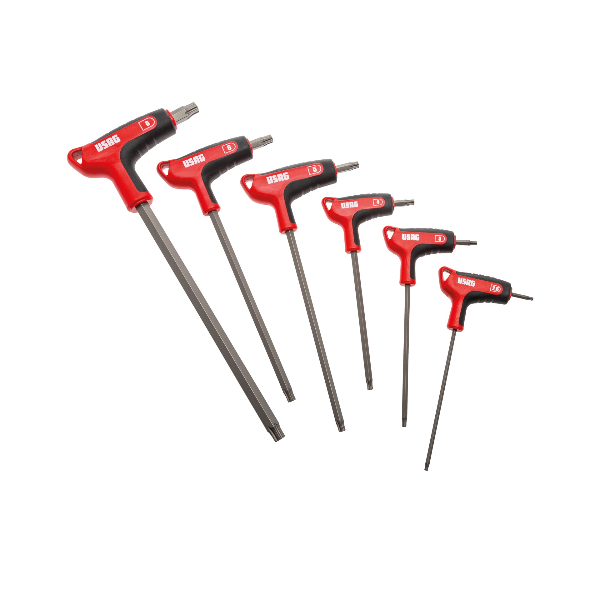 SERIE DI 6 CHIAVI MASCHIO CON PROFILO ESAGONALE SPECIALE X-GRIP Usag 280 HX/SE6