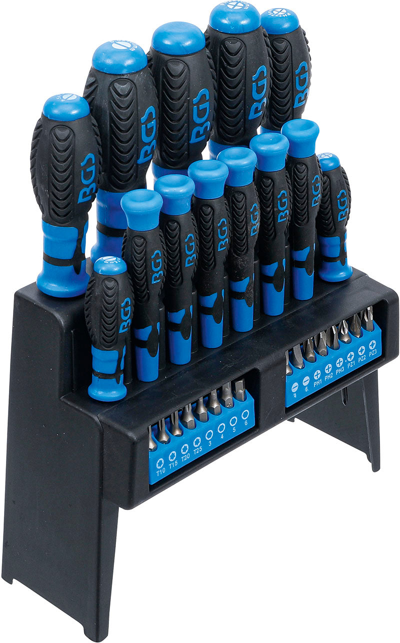 SET 29 PEZZI, CACCIAVITI IN SUPPORTO IN PLASTICA BGS6825