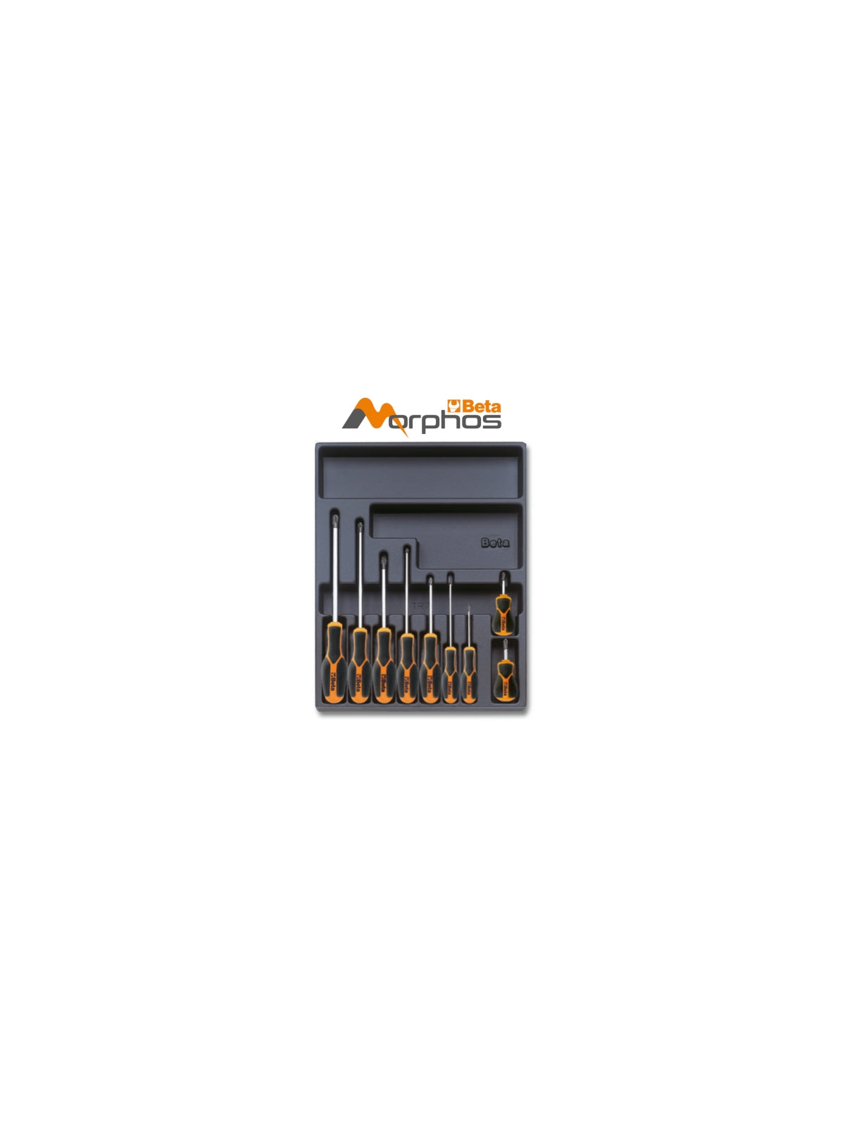 Termoformato rigido in ABS giraviti Morphos per viti con impronta Phillips® Beta T168MH