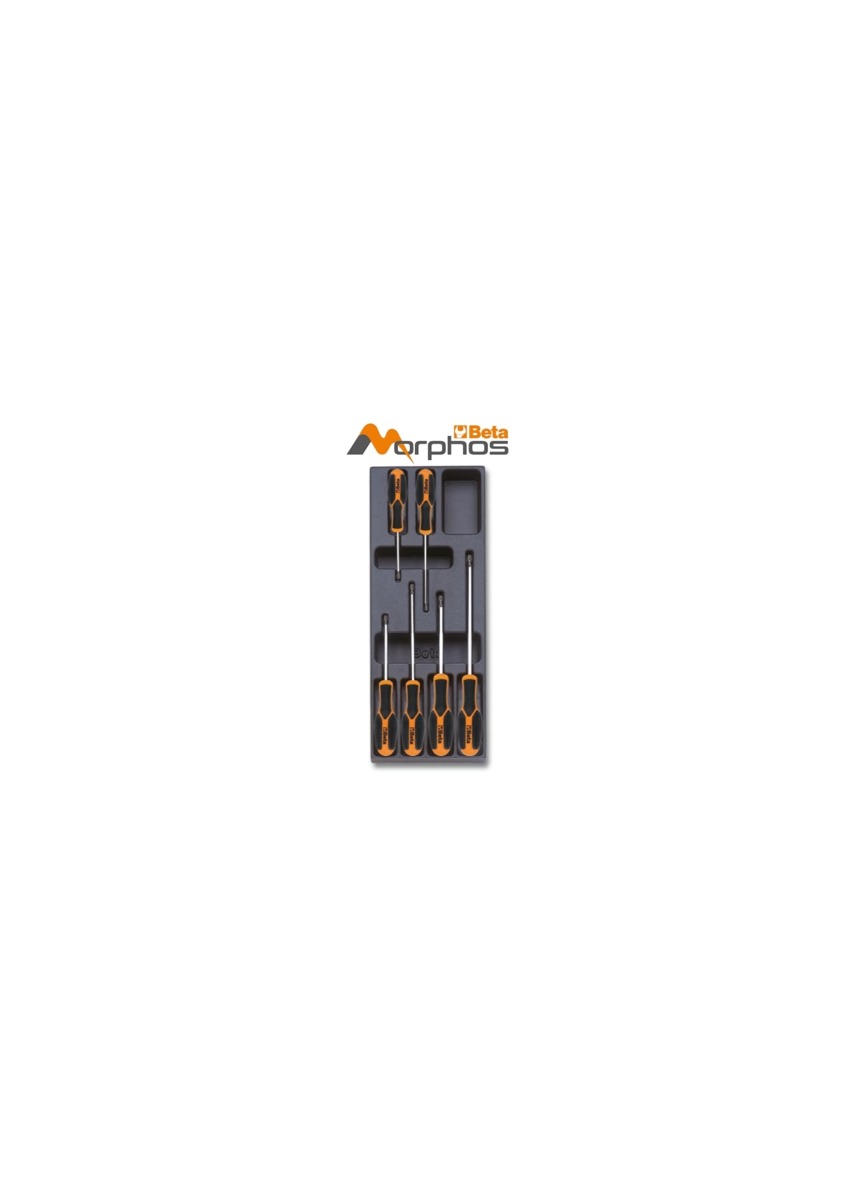 Termoformato rigido in ABS con giraviti Morphos per viti Tamper Resistant Torx® Beta T187MH
