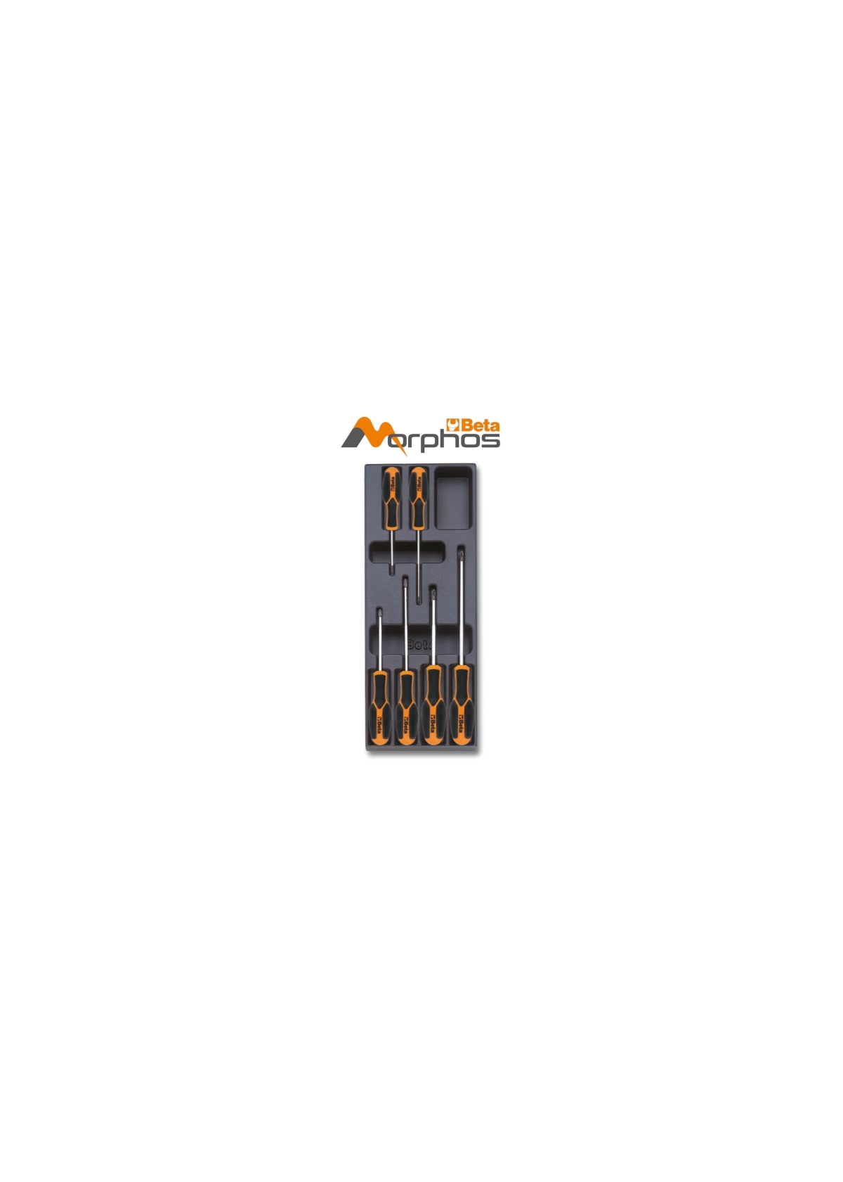 Termoformato rigido in ABS giraviti Morphos per viti con impronta Phillips® Beta T202MH