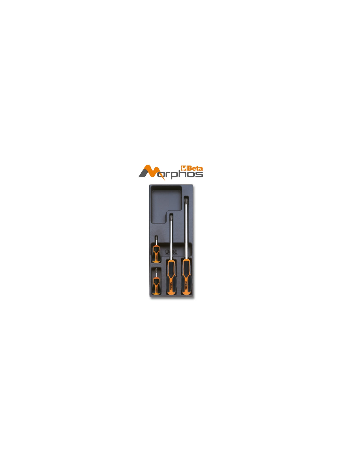 Termoformato rigido in ABS giraviti Morphos per viti con impronta Phillips® Beta T204MH