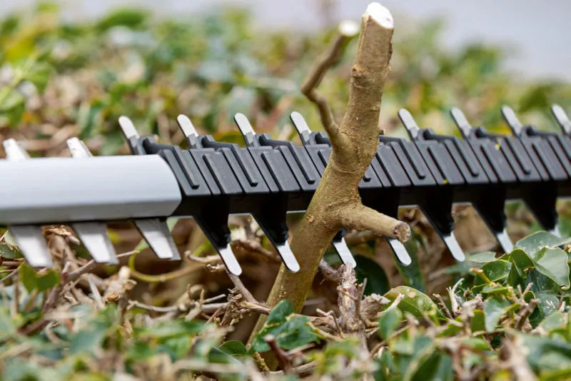 Tagliasiepi a batteria Bosch GHE 18V-50 Professional