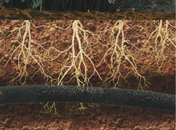 Tubo poroso ø 1/2" 15mt. GF GARDEN