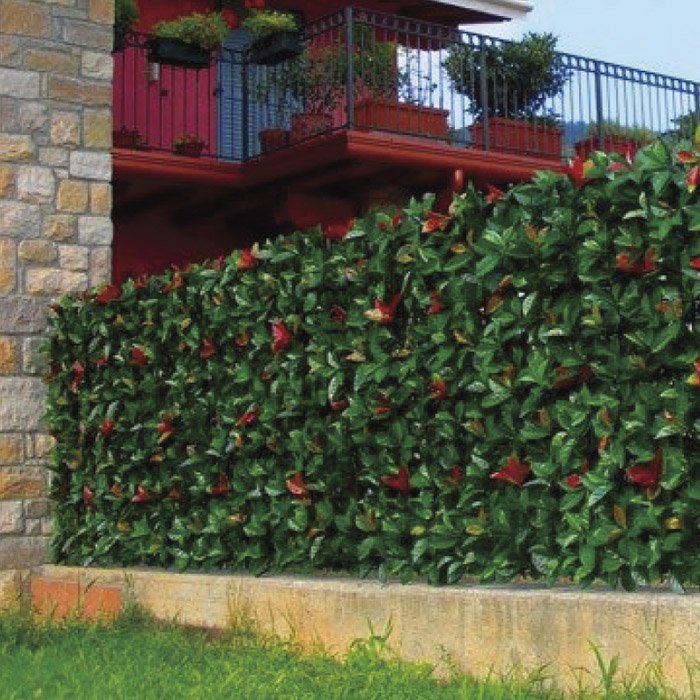 siepe photinia Siepe sintetica sempreverde Redplast artificiale Verdelook Photinia