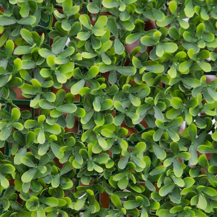 Siepe sintetica sempreverde Buxus artificiale Verdelook