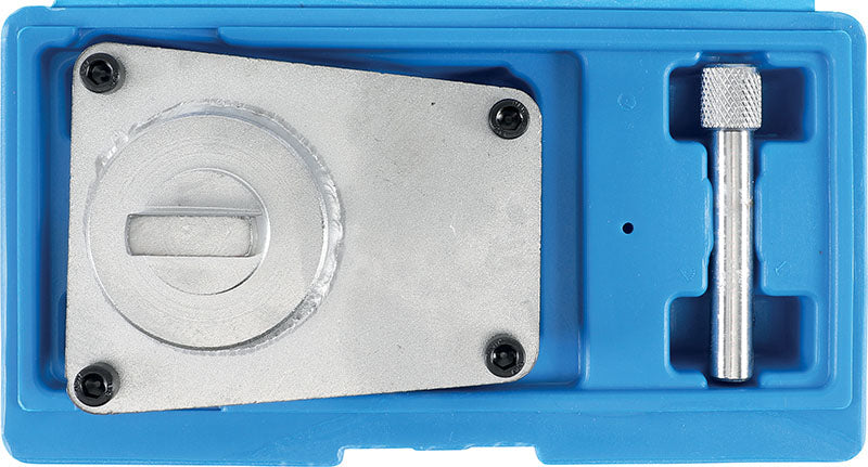 SET MESSA IN FASE PER OPEL/VAUXHALL, CHEVROLET 2.0 CDI BGS66202