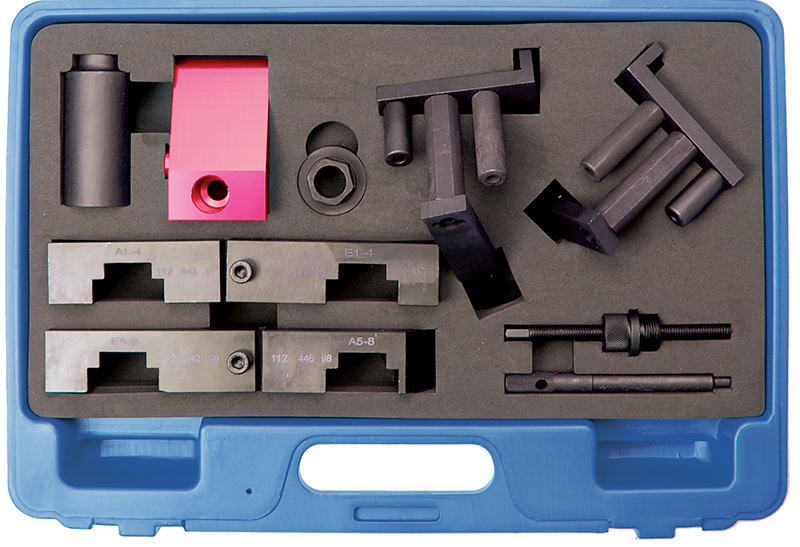 SET MESSA IN FASE PER BMW M62 VANOS BGS8602