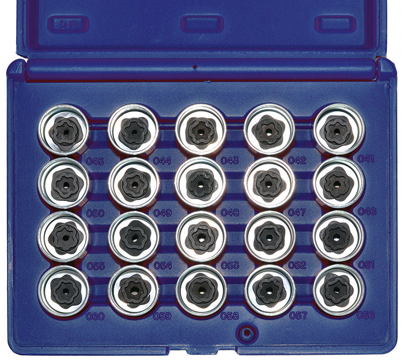 SET 20 PEZZI, INSERTI SPECIALI PER BULLONI DI SICUREZZA PER BMW Fermec BMW20