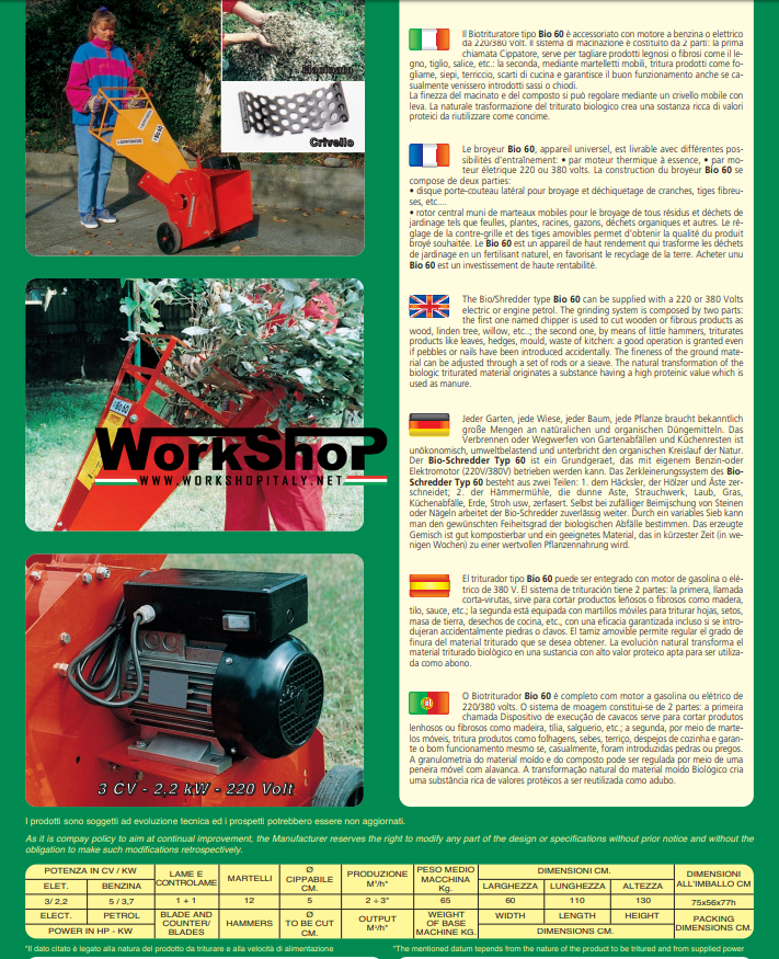 Biotrituratore Caravaggi BIO 60 motore Honda - Elettrico