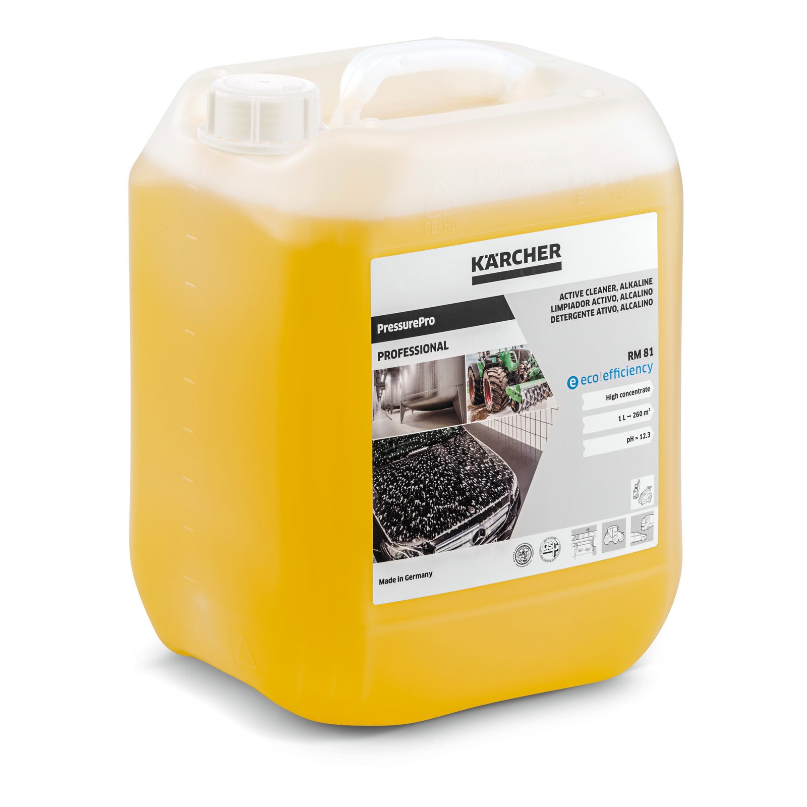 Detergente attivo, alcalino RM 81 ASF Karcher 10 litri