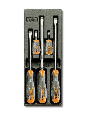 Termoformato SENZA Set Giraviti Taglio Betamax Beta TV171 VUOTO