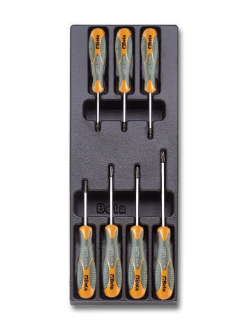 Termoformato SENZA Set Giraviti Torx Betamax Beta TV175 VUOTO